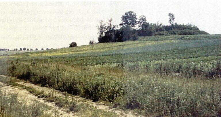 Jüdischer Friedhof in Neidenburg 1994 (c Nachlaß Knieß im Geheimen Staatsarchiv Preußischer Kulturbesitz, Berlin, abgebildet im Neidenburger Heimatbrief, Pfingsten 2025, S. 53)