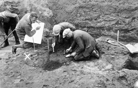 Unter dem Sand des Samlands: Archäologische Forschung in Ostpreußen thumbnail