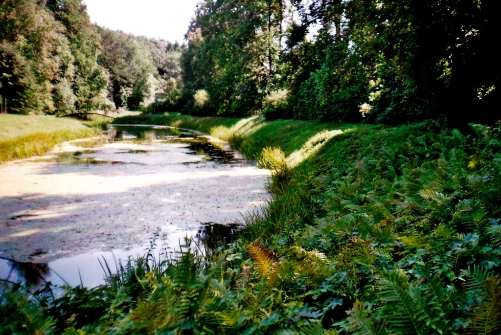 Weiher nahe der alten Försterei Schernen an der Minge, nördlich von Prökuls (Bernd Dauskardt, 2013)