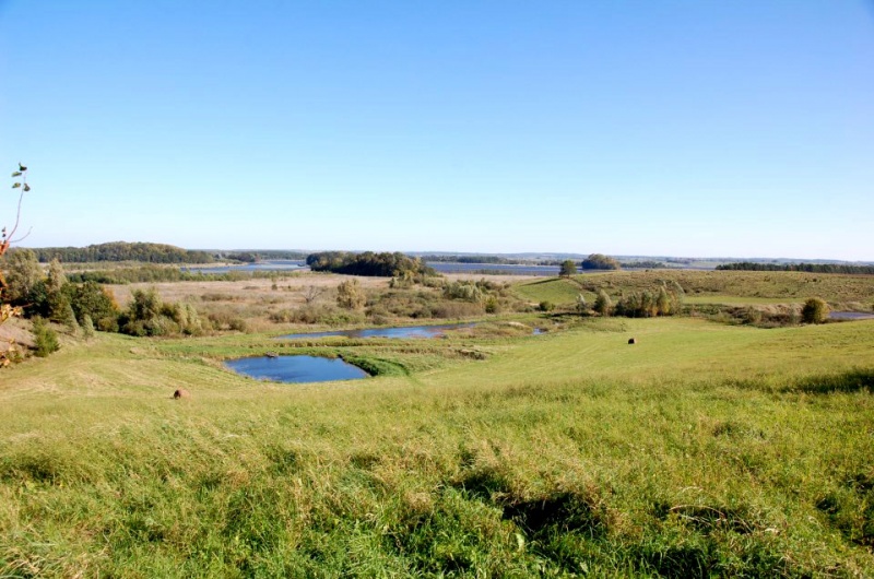 Landschaft am Nordenburger See bei Klein Guja (Uli Heitmann)